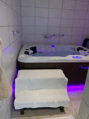 appartement avec Jacuzzi hammam sauna privatisé au rez de chaussée ds maison à Voglans à 2 kilomètres du lac du bourget en Savoie entre Chambéry et Aix les Bains cure thermale - Location saisonnière - Voglans