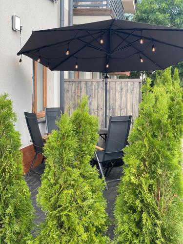 Létesítmények, Apartament MOMENT in Zlotow