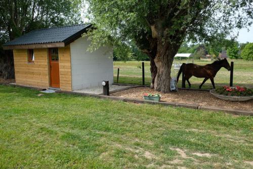 Camping des Saules