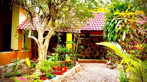 Gardenhotel Macan Ché B&B Gardenhotel Macan Ché B&B
