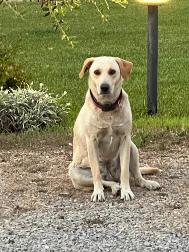 The Arches House Bed and Breakfast IUN F1092