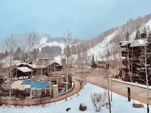 Vail Lion 1 Bedroom - image 8