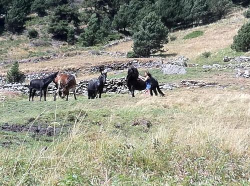 EL RACONET D'INCLES - Peu del Riu 109 - Vall d'Incles - Soldeu