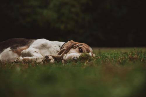 Casa Rural Nemesio in อีตูร์เมนดี