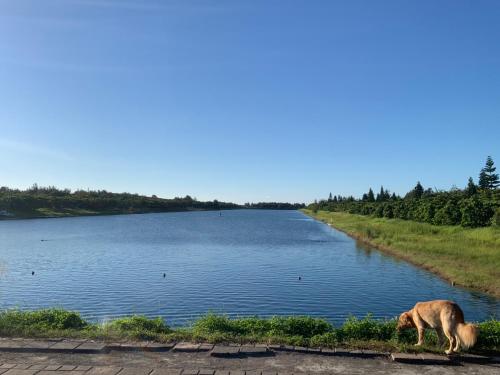 타이퉁 트래블러 호텔 (Taitung Traveler Hotel) in 타이둥 / 대동