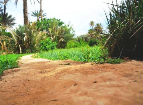 卡斯巴餐厅酒店 卡斯巴餐厅酒店