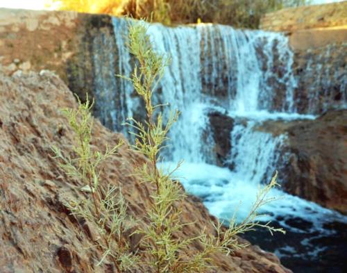 卡斯巴餐厅酒店 卡斯巴餐厅酒店