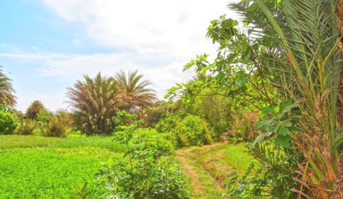 卡斯巴餐厅酒店 卡斯巴餐厅酒店