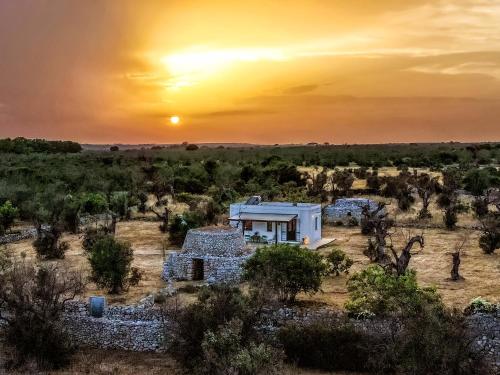 Casa Barzo - surrounded by olive trees Salve