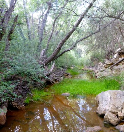 Porcupine Hills Olive and Guest Farm