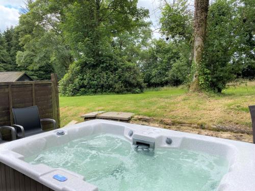 Birch Lodge 18 with Hot Tub Newton Stewart - image 7