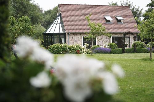 Villa Magnolia - image 14