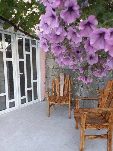 Apartments Stankovic & Boat tours in Sotonići