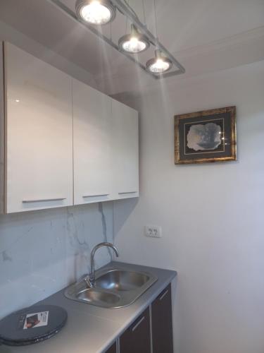 Apartments Stankovic & Boat tours in Sotonići