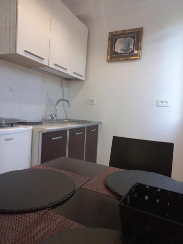 Apartments Stankovic & Boat tours in Sotonići