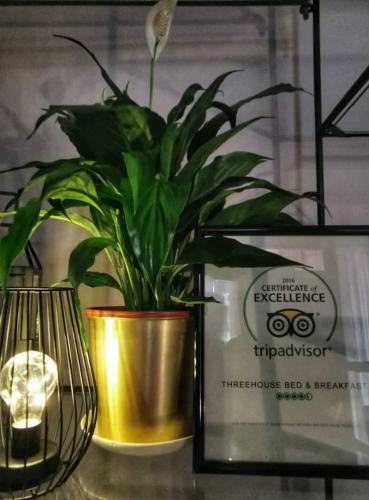 Treehouse Hostel – Kuching, CA