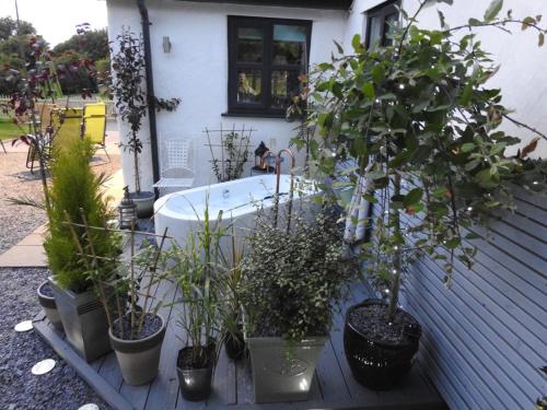 Cosy country cottage with outdoor bathing in Pentre Halkyn