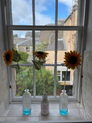 Towerwell in นิวโบ่