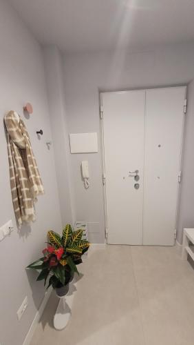 Appartamento di SIMONA a due passi da SAN PIETRO, Rzym (zdjęcie 8)