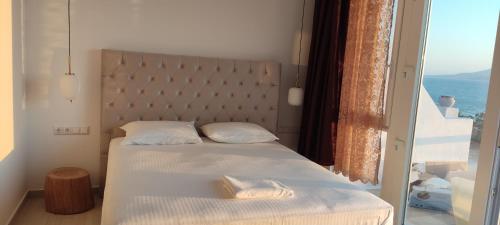 Pirgos Stelida Hotel in Stelida