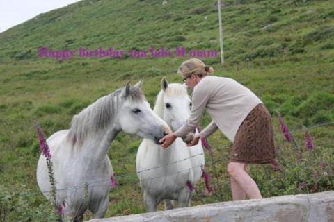 Clifden Bay Lodge