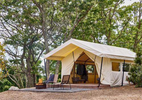 AutoCamp Cape Cod - image 7
