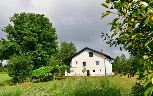 Lora, Rakovica (photo 8)