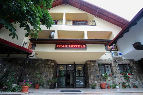 . Teju Hotels