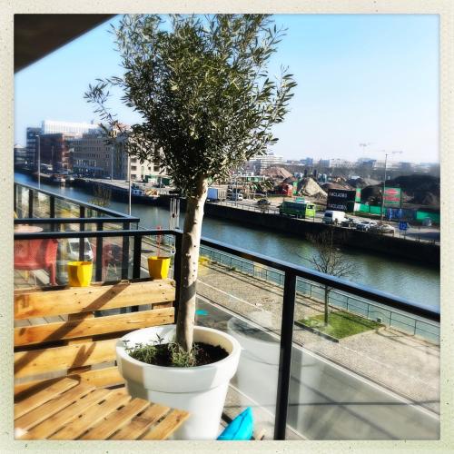 Cozy two bedroom Apartment near city centre Gent - Location saisonnière - Gand