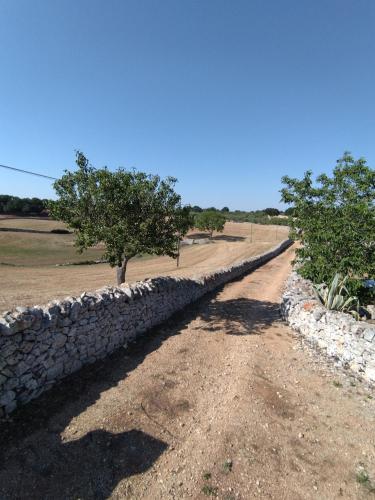 Masseria Catucci Agriturismo Alberobello