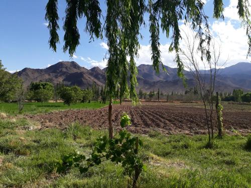 Dārzs, Casa de Haydee in Cachi Adentro