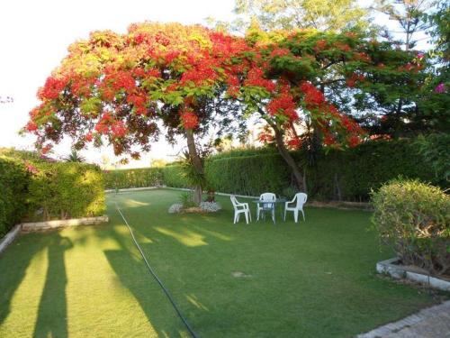 Marina Villa North Coast Egypt photo