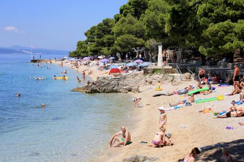 Apartments with a parking space Brela, Makarska - 6043