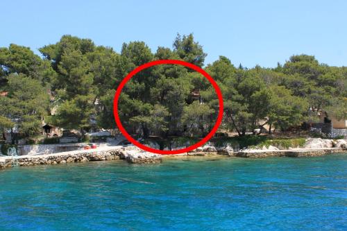 Seaside secluded apartments Lavdara, Dugi otok - 8114 - Apartment - Sali