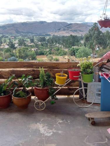 Hospedaje el Tayo - Casa de Campo Cajamarca - Miniatura 3