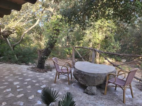 Finca Sa Duaia de Dalt Finca Sa Duaia de Dalt