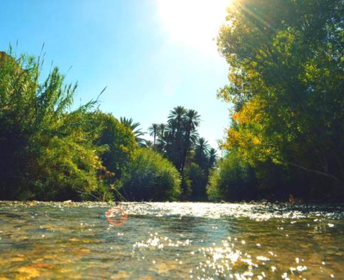 卡斯巴餐厅酒店 卡斯巴餐厅酒店