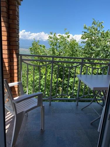 贊達艾什威利旅館 (Zandarashvili Guest House) in 西格納吉