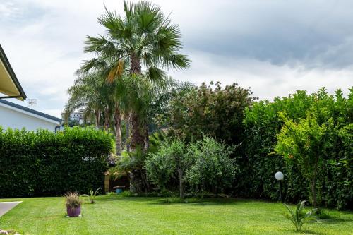 Rentopolis Villa Tiffany - image 11