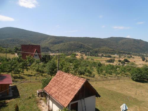 Θέα, Apartman Krivaja in Bistrica