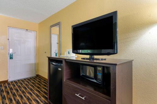Quality Inn & Suites Mt Dora North - image 6