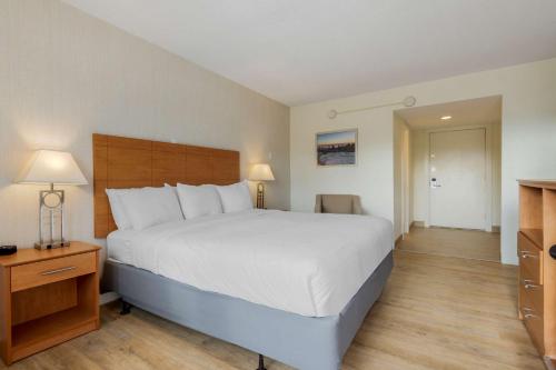 1 king bed