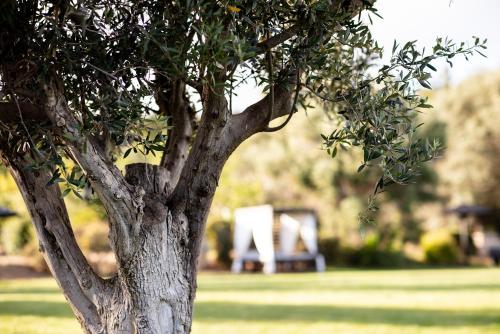 378602015 Vila Valverde Design Country Hotel