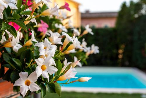 Albergo Ristorante Il Terziere – Trevi, CT