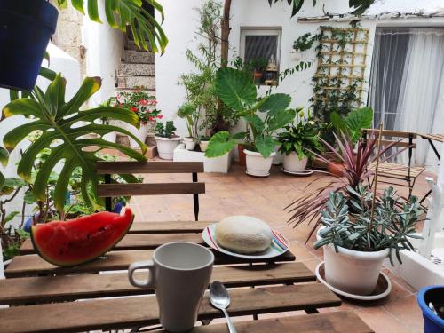 "Apartamento con encanto en Vejer de la Frontera - Besara "
