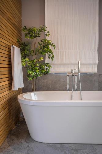 Daluz Boutique Hotel in Psathaki