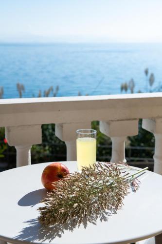 Dimitra Studios - image 14
