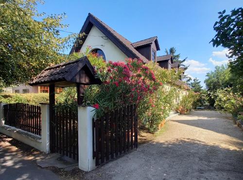 Viesnīcas āriene, Edelmann Panzió (Edelmann Panzio) in Balatonakali
