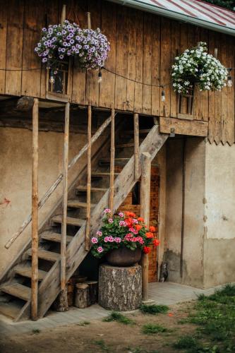 Pilsētas glempings - "Šķūņaugša" (Pilsetas glempings - "Skunaugsa") in Valmiera