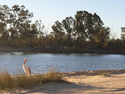Skats, Riversands Rest Accommodation Scenic Riverfront Cottages, Paringa in Paringa